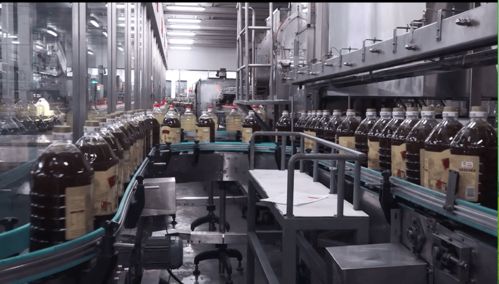 云賞金龍魚蝦田稻，共憶香韻外婆情